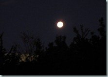 IMG_1695