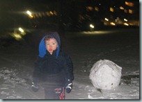 First Snowfall