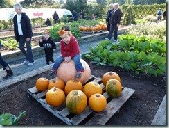 Getting ready for Halloween