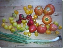 Reaping the rewards of the garden