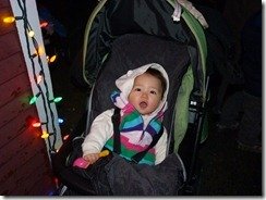 Bright Nights (Stanley Park)
