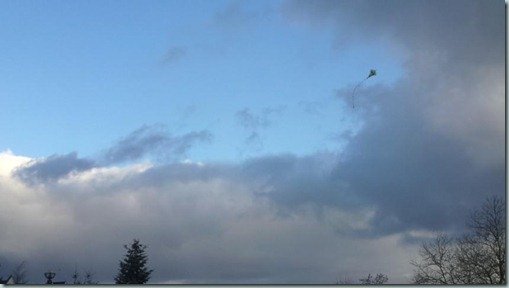 Go Fly a Kite