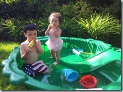 Garden and Swimming Pool