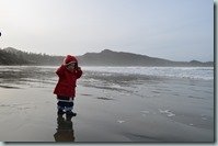 Tofino