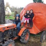 Pumpkin Patch Trip