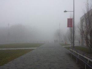 Fog in Vancouver