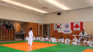 Ryan’s First Tae Kwon Do test